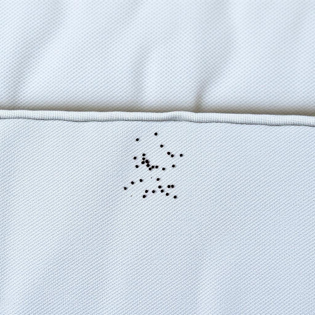 بقع فضلات بق الفراش السوداء على درزة المرتبة البيضاء - علامة واضحة على الإصابة